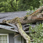 Tree fell on house emergency Atlanta Ga