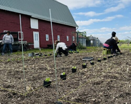 500527256_691753950273988_2966491339258775173_n